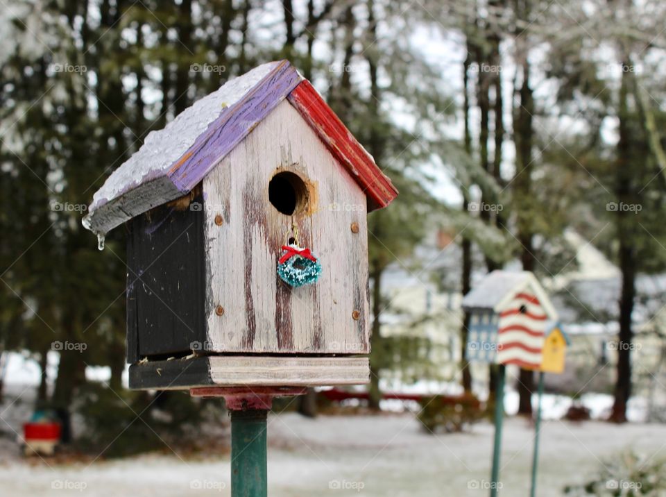 Snowy birdhouse 
