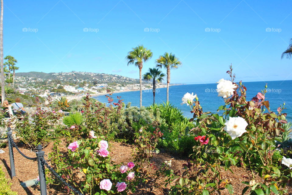 Beautiful Laguna beach, California