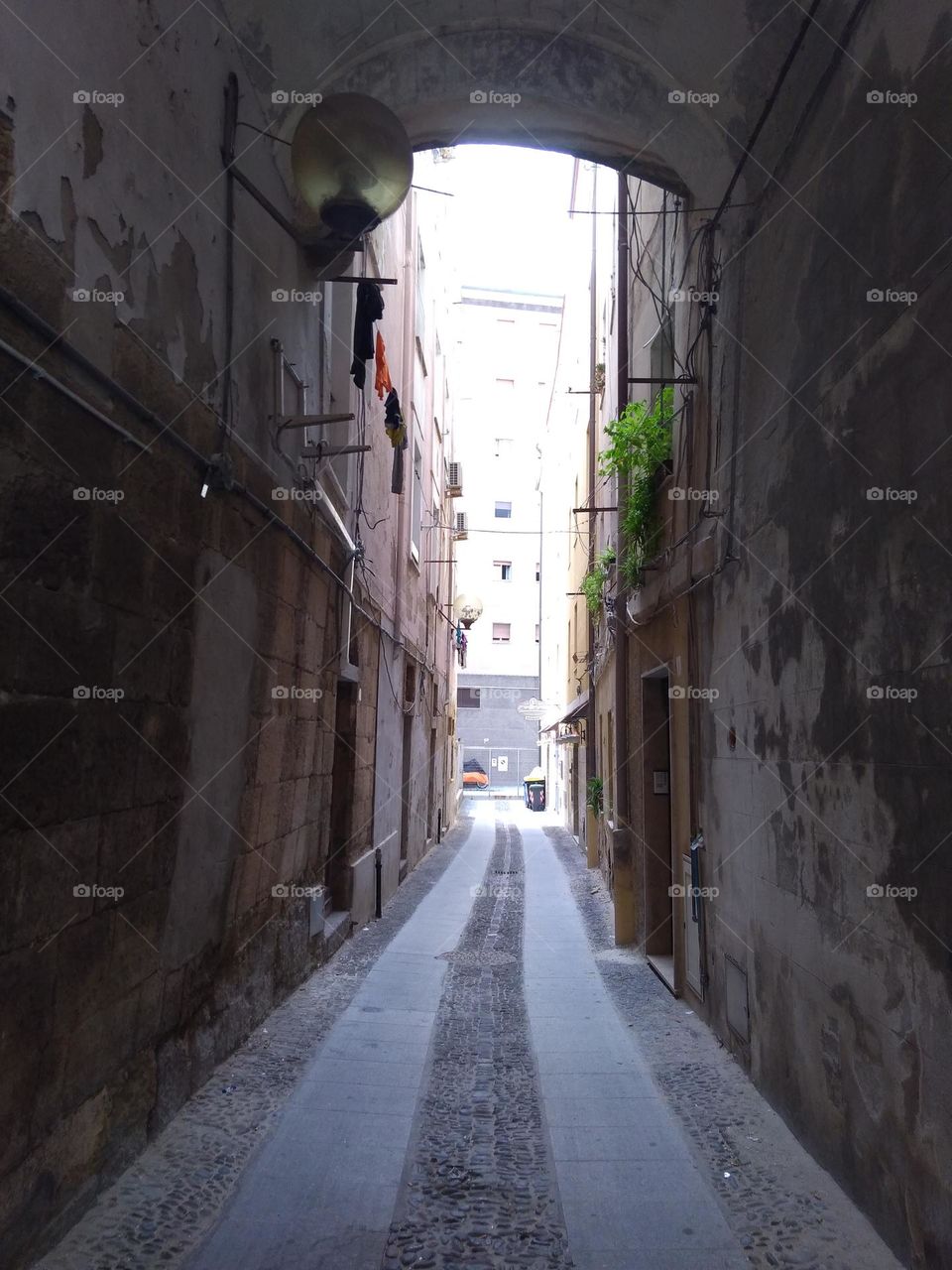 Editors' Choice - Photo of the Week