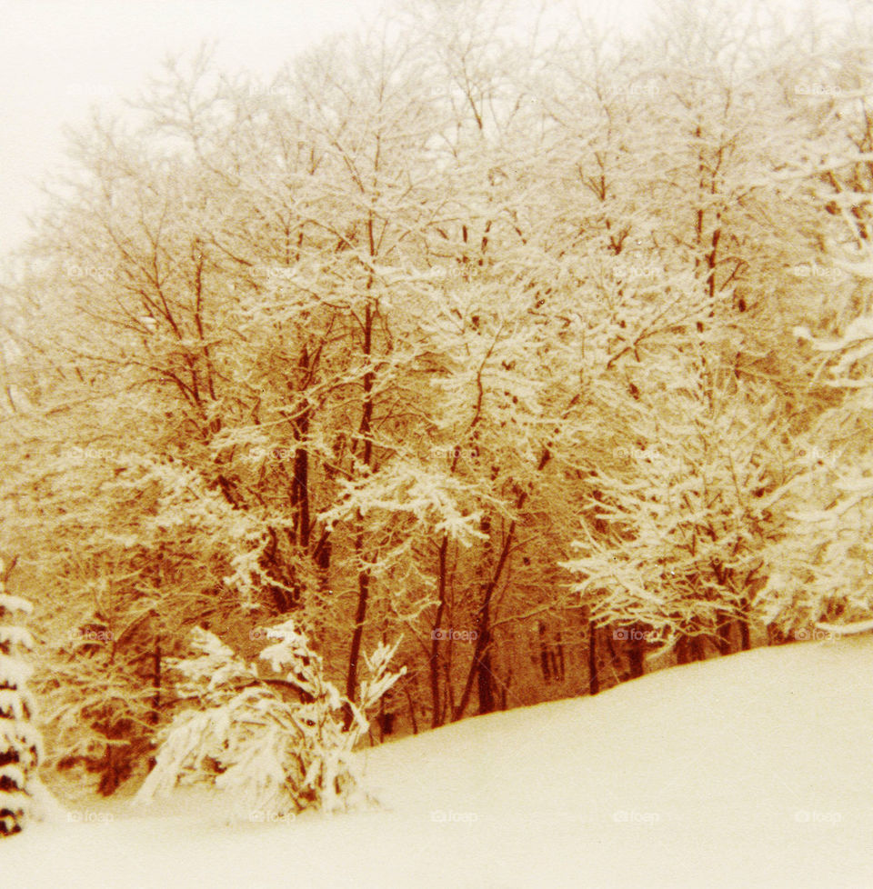 Ohio Winter