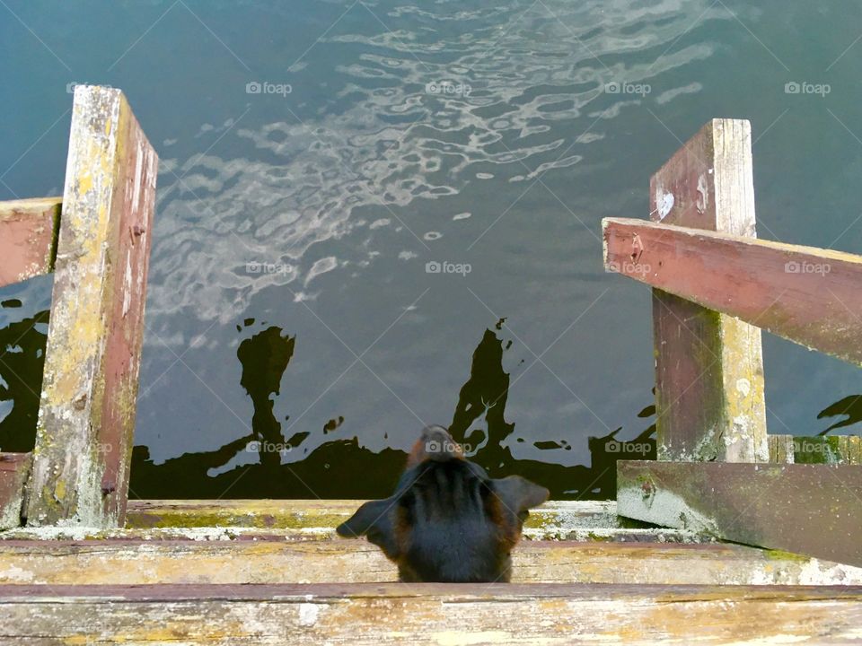 Stick ya head out...