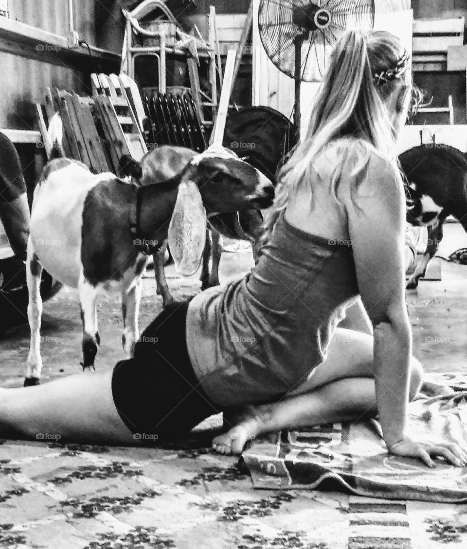 goat yoga time