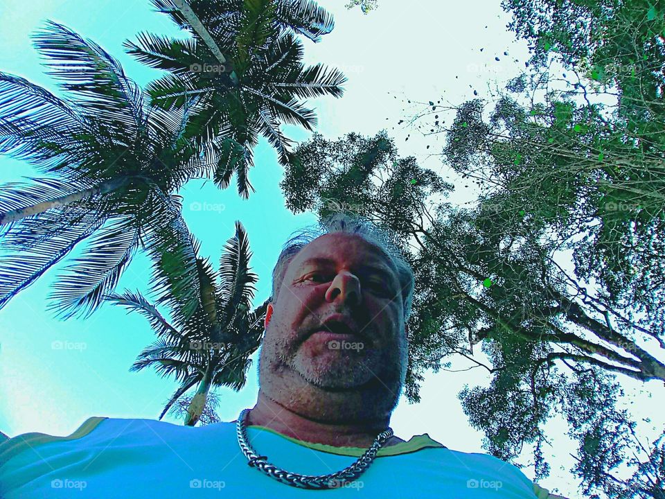 NATURAL NATURE NATUR TREES SKY