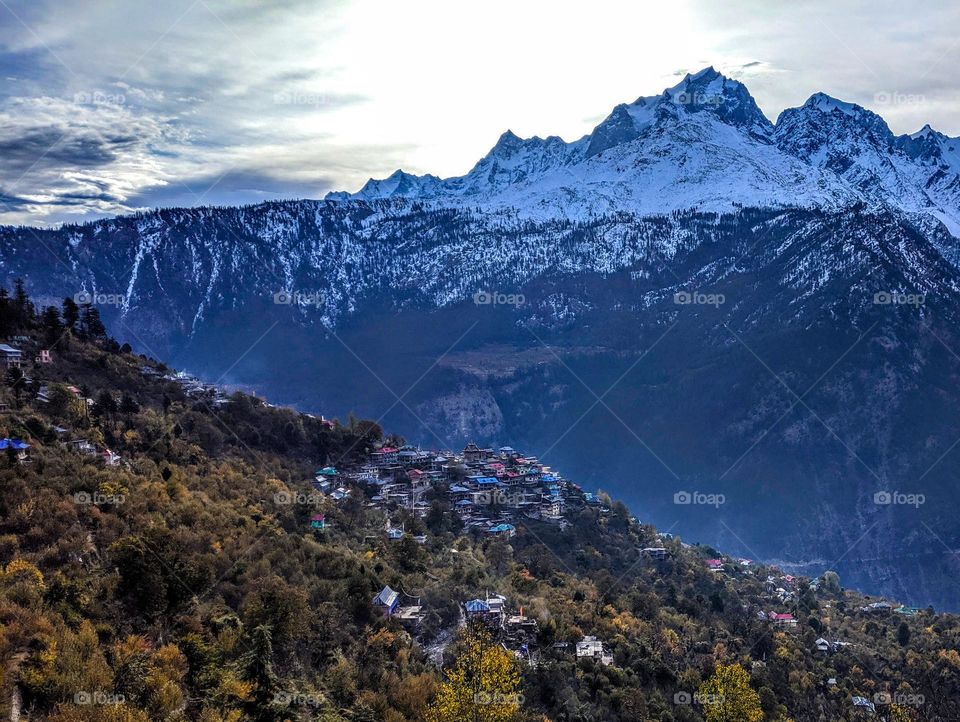 Countryside summer vibes