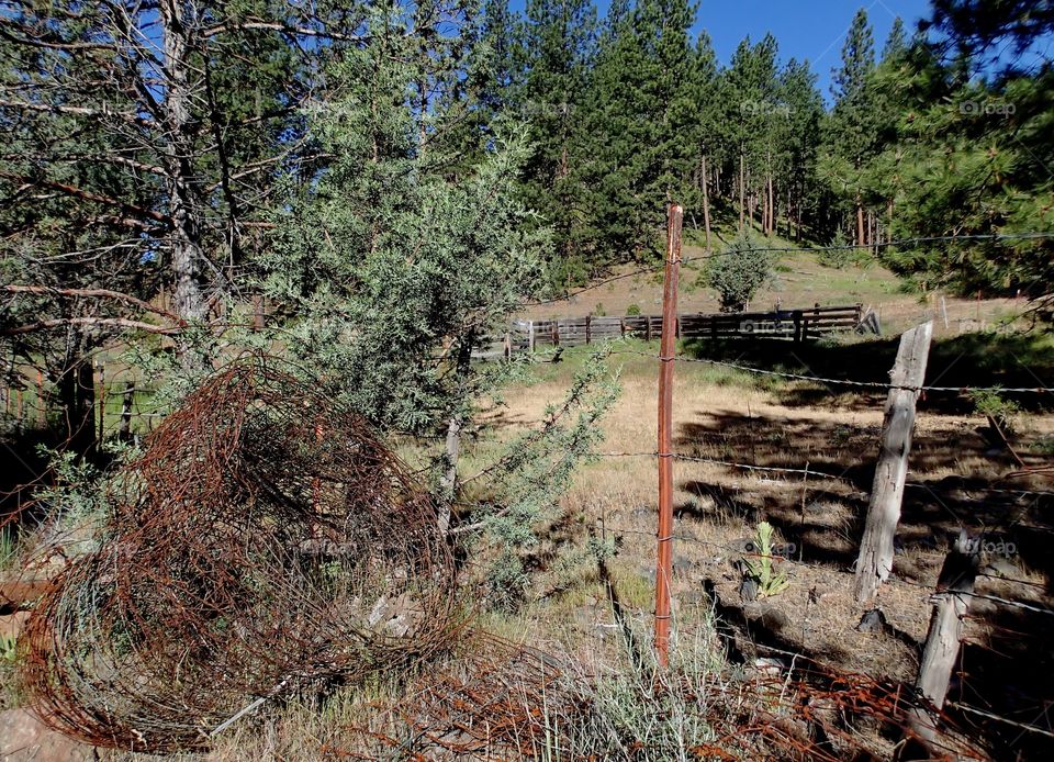 A metal post and barb wire in the foreground and wooden fence in the background on a tree covered hill on a ranch in the forests of Central Oregon on a summer day. 