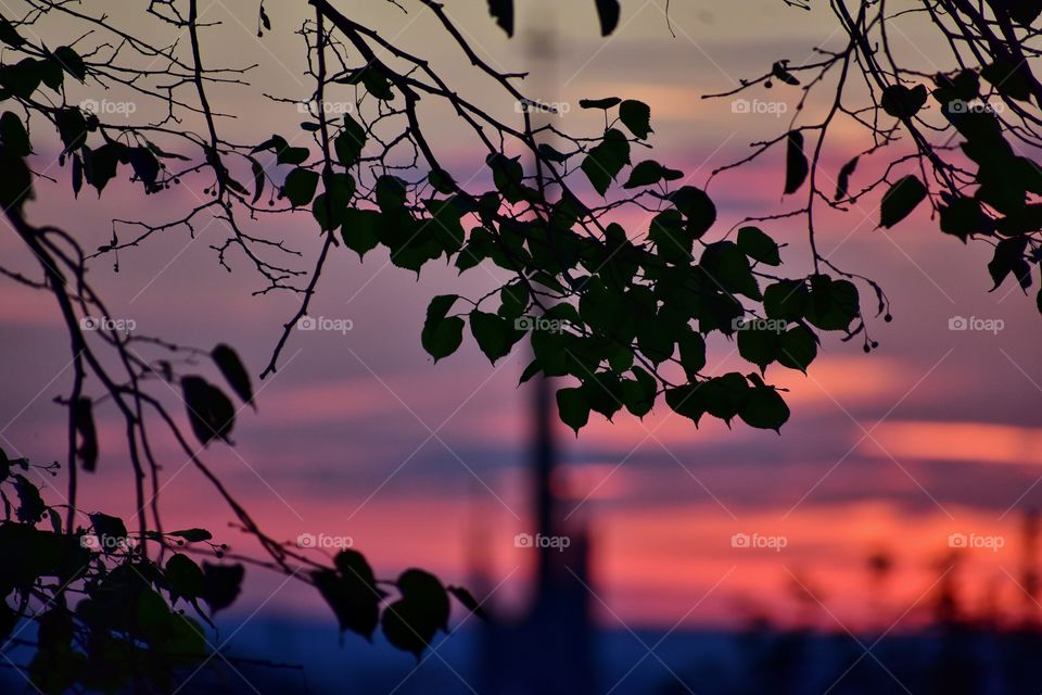 red sunset in the city - gdynia, poland