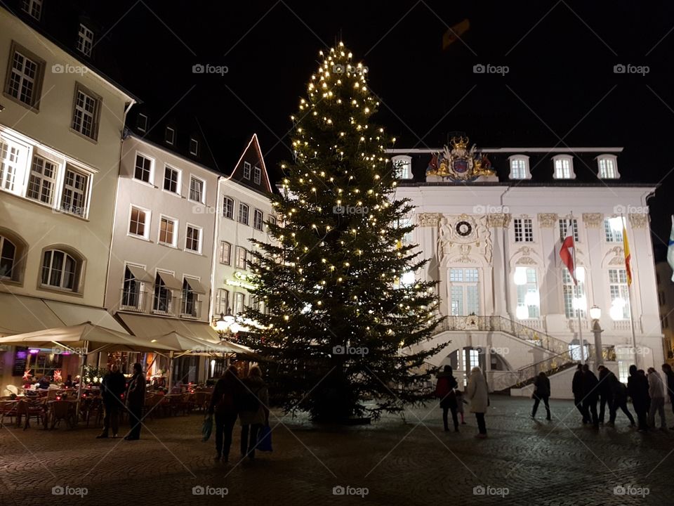 Rathaus in Bonn mit Weihnachtsbaum