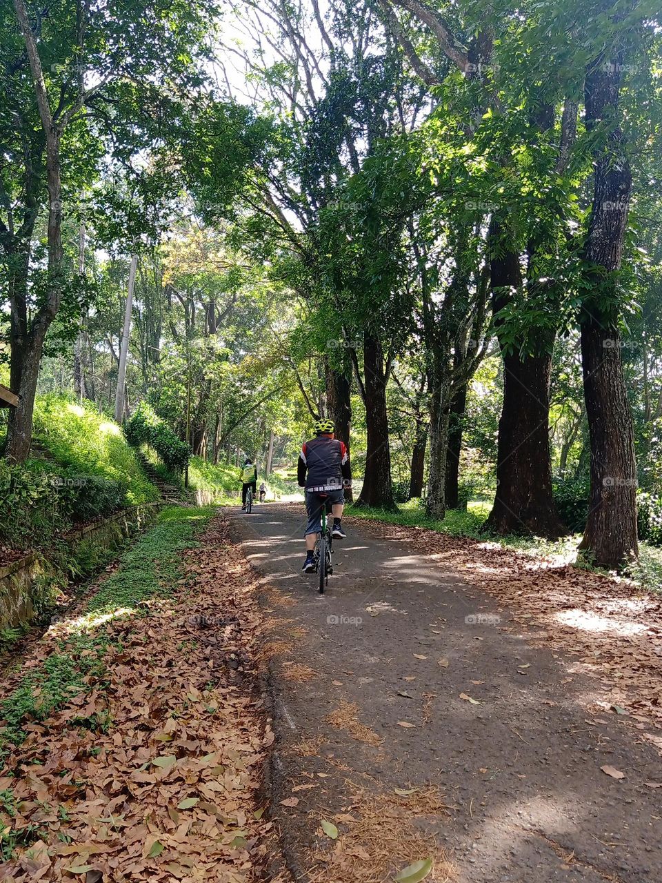 a weekend bike ride