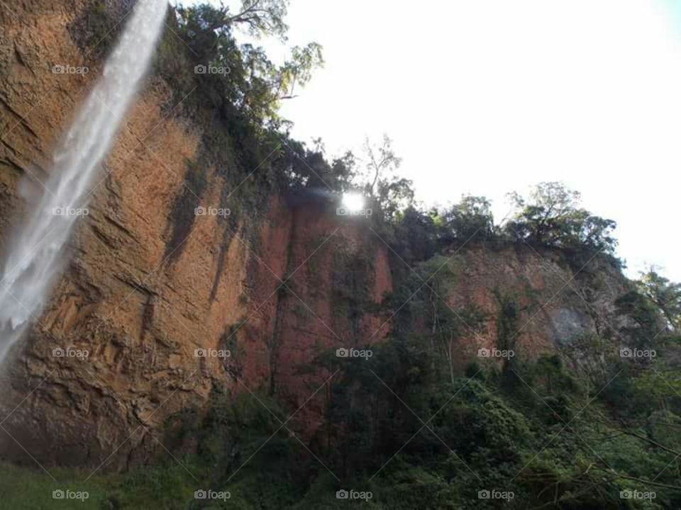 grasshopper waterfall waterfall
