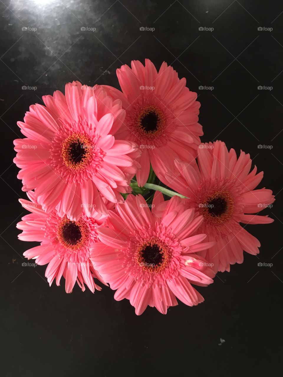 Pink flowers
