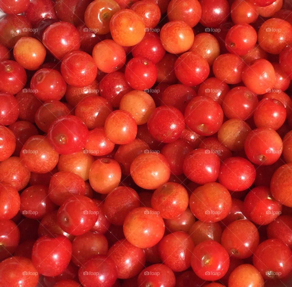 Cherry 
