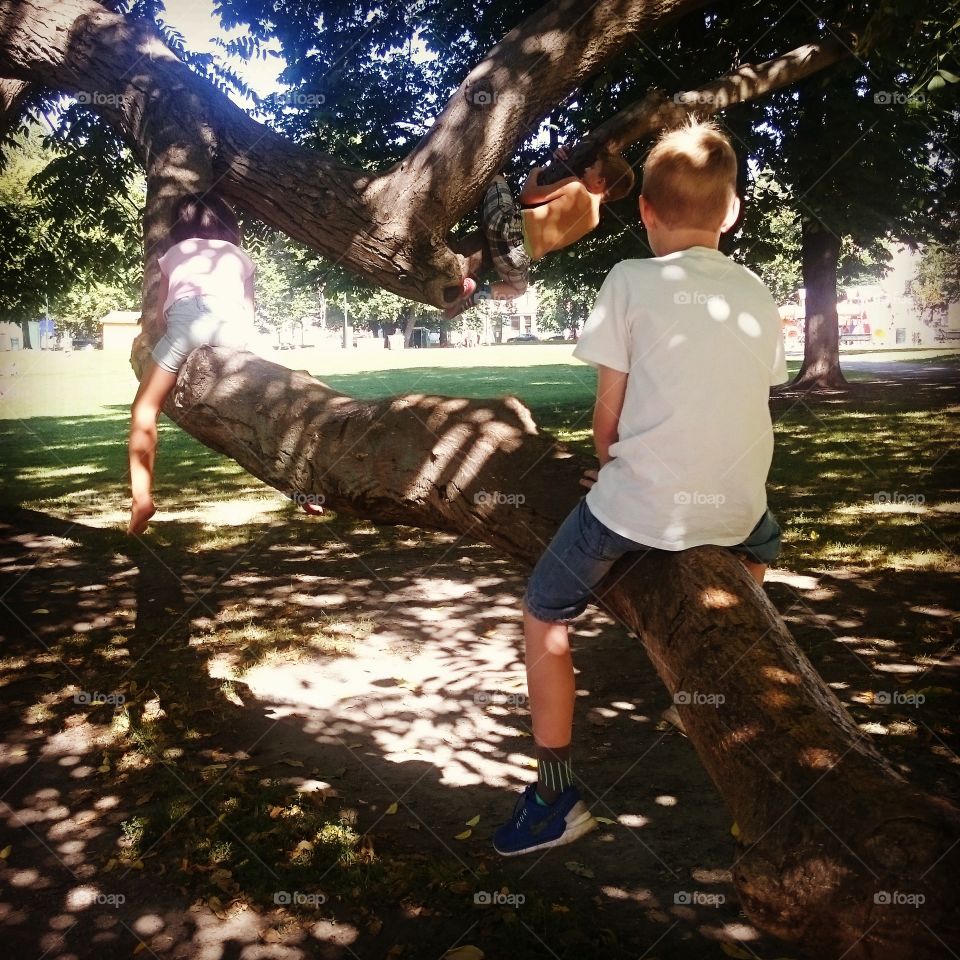 Up to the top. Family day in the park