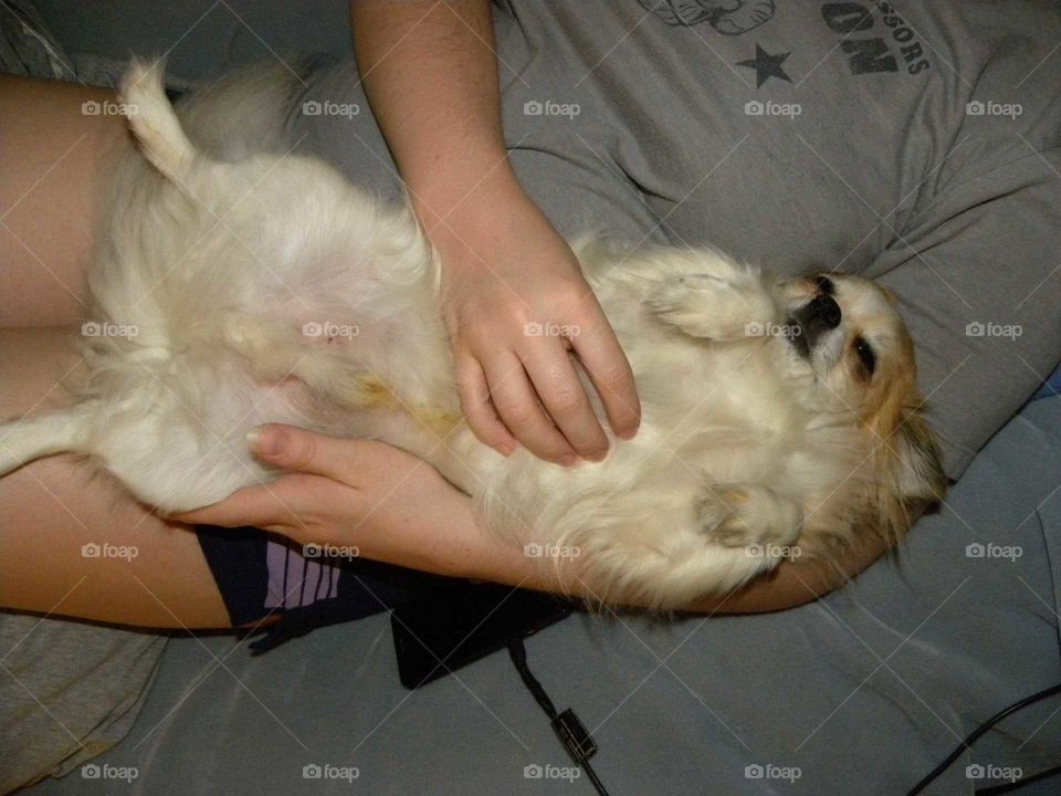 Belly Rub