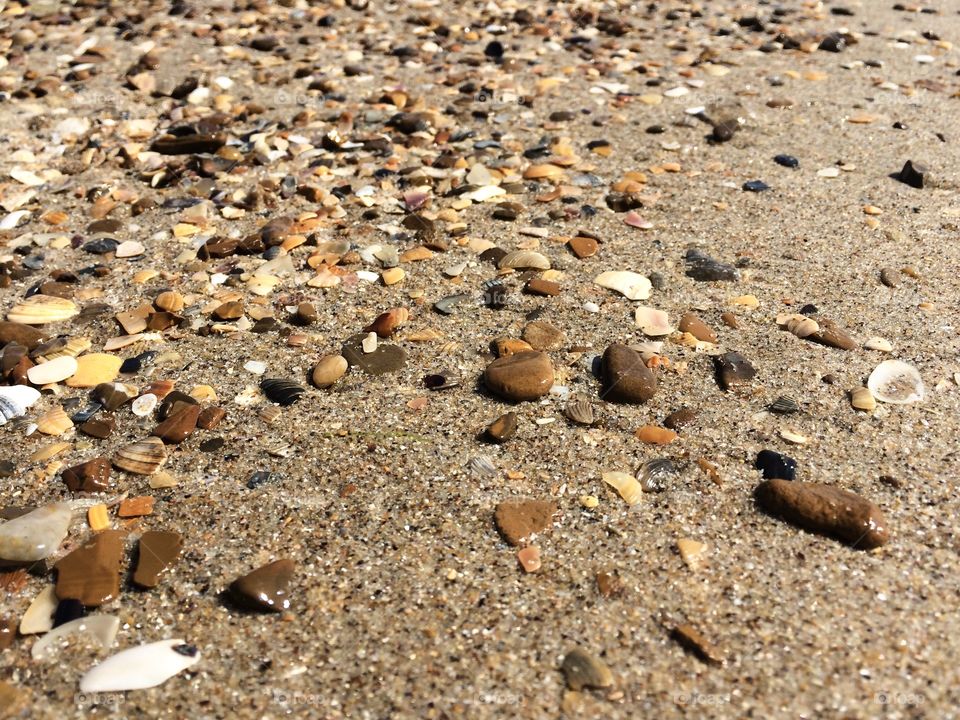 Beach with shells and stones