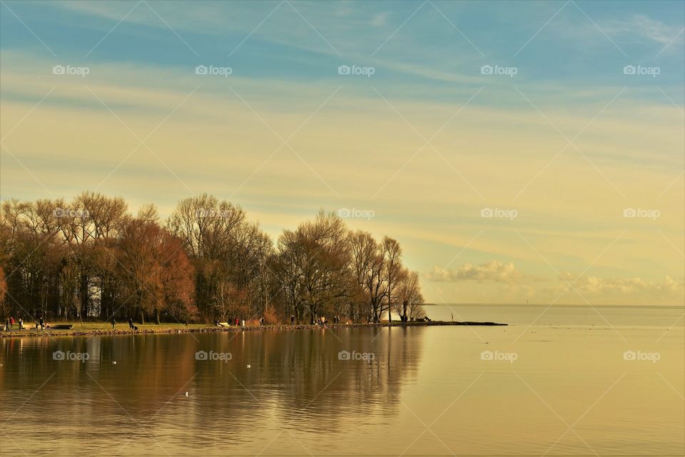 Autumn trees. / Árvores de outono.