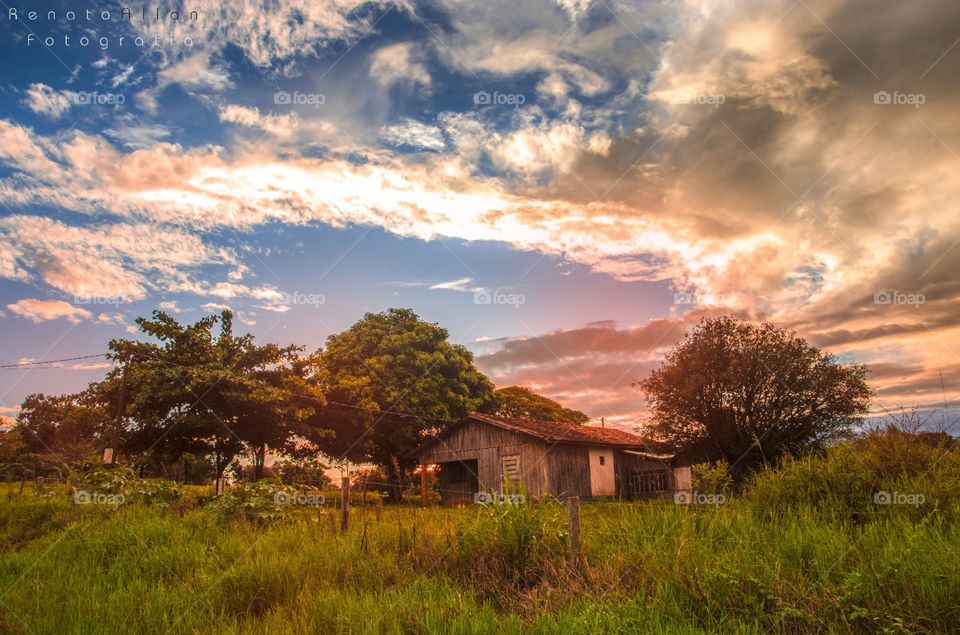 No Person, Sunset, Landscape, Sky, Tree