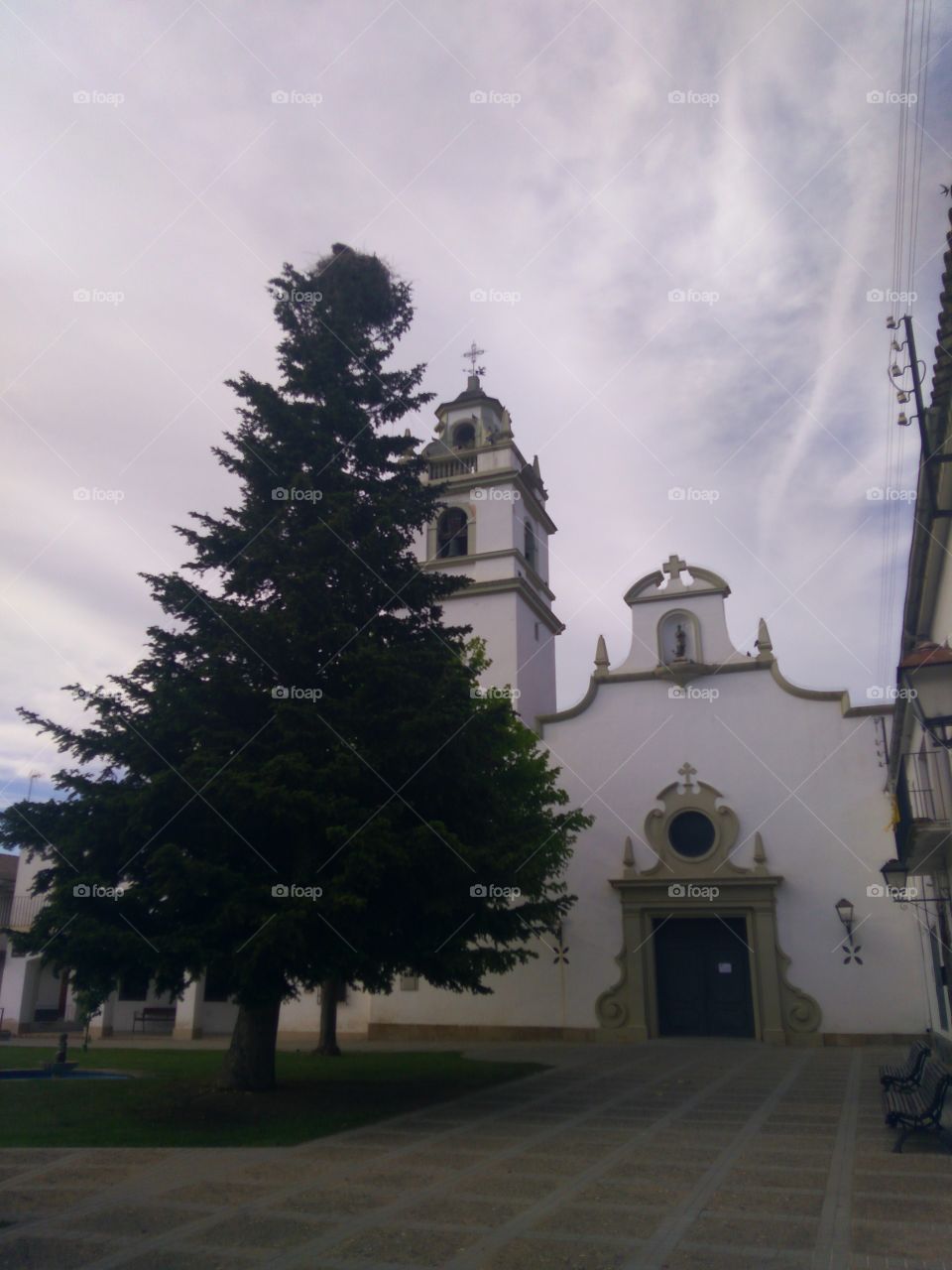 árbol en la iglesia