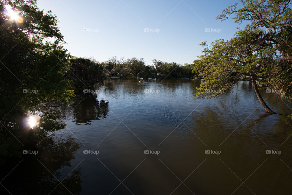 Lake view