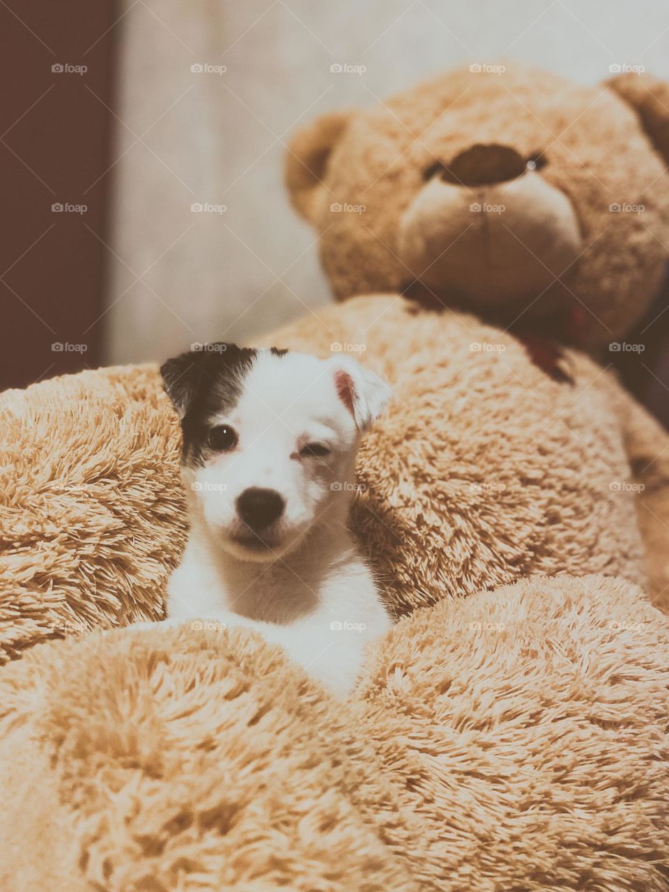 Hello, it is me, Cornelia 😄