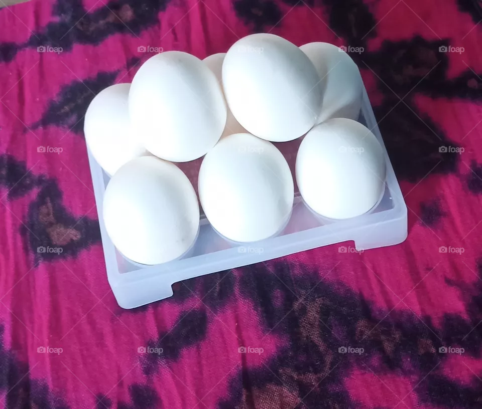 eggs