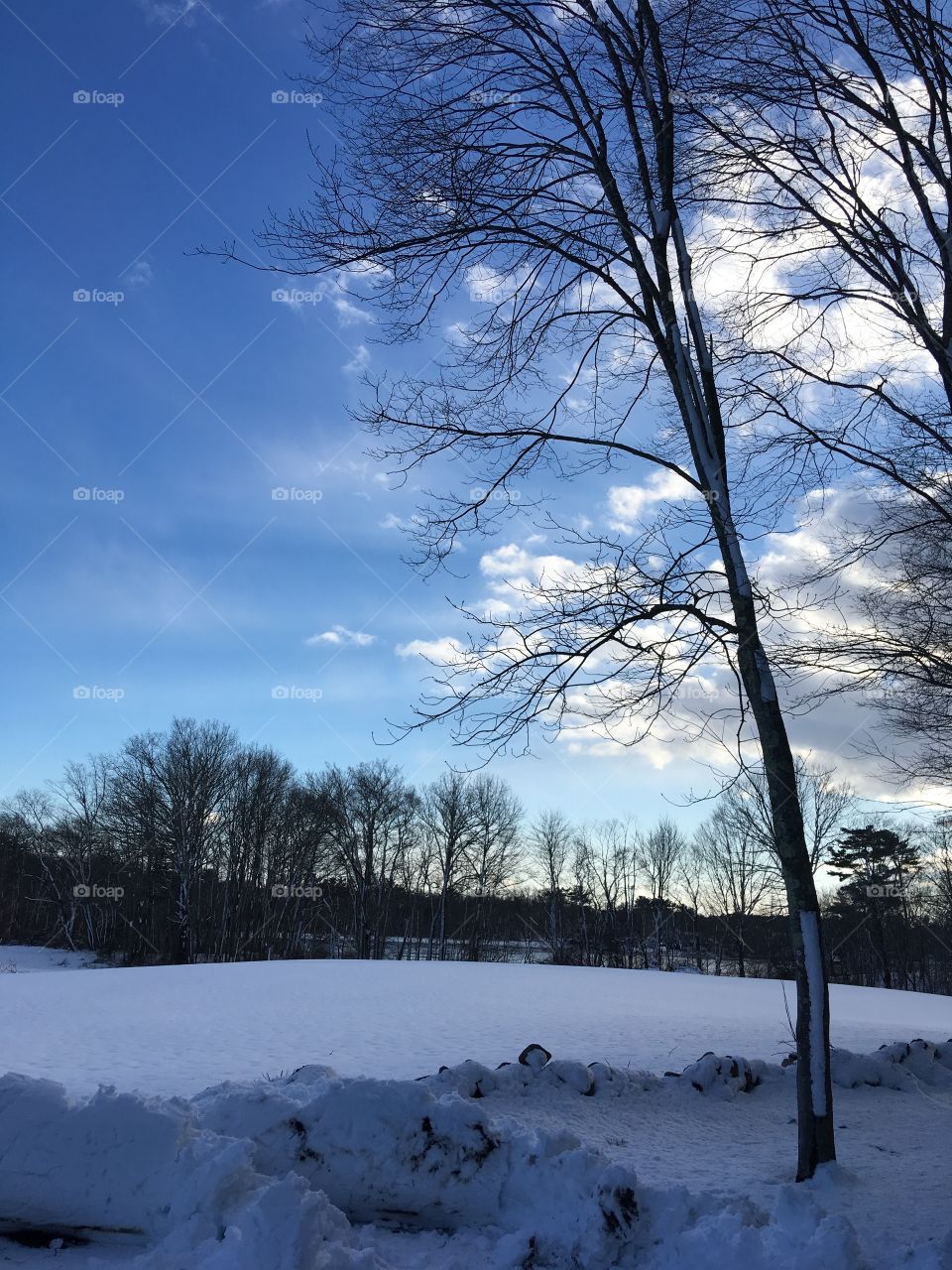 Jacobs Pond Norwell after a winter storm 