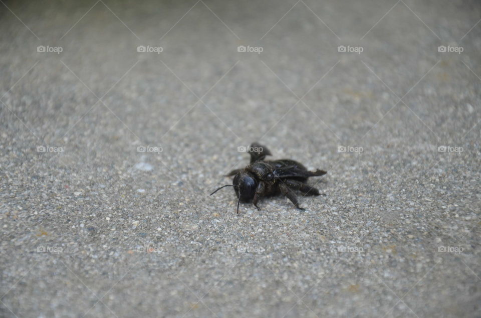 enjoying road walk