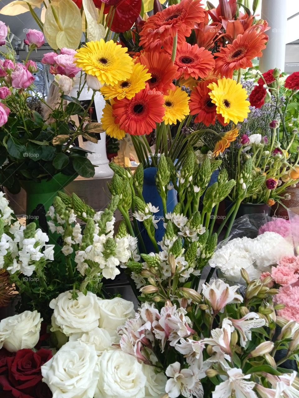 from flowers and plants for sale in a municipal market in Porto