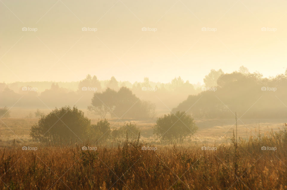 Autumn misty park at early morning 