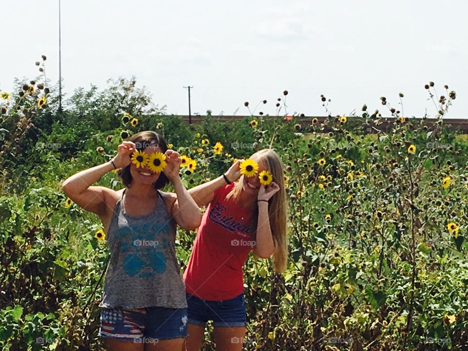 Sunflower field fun