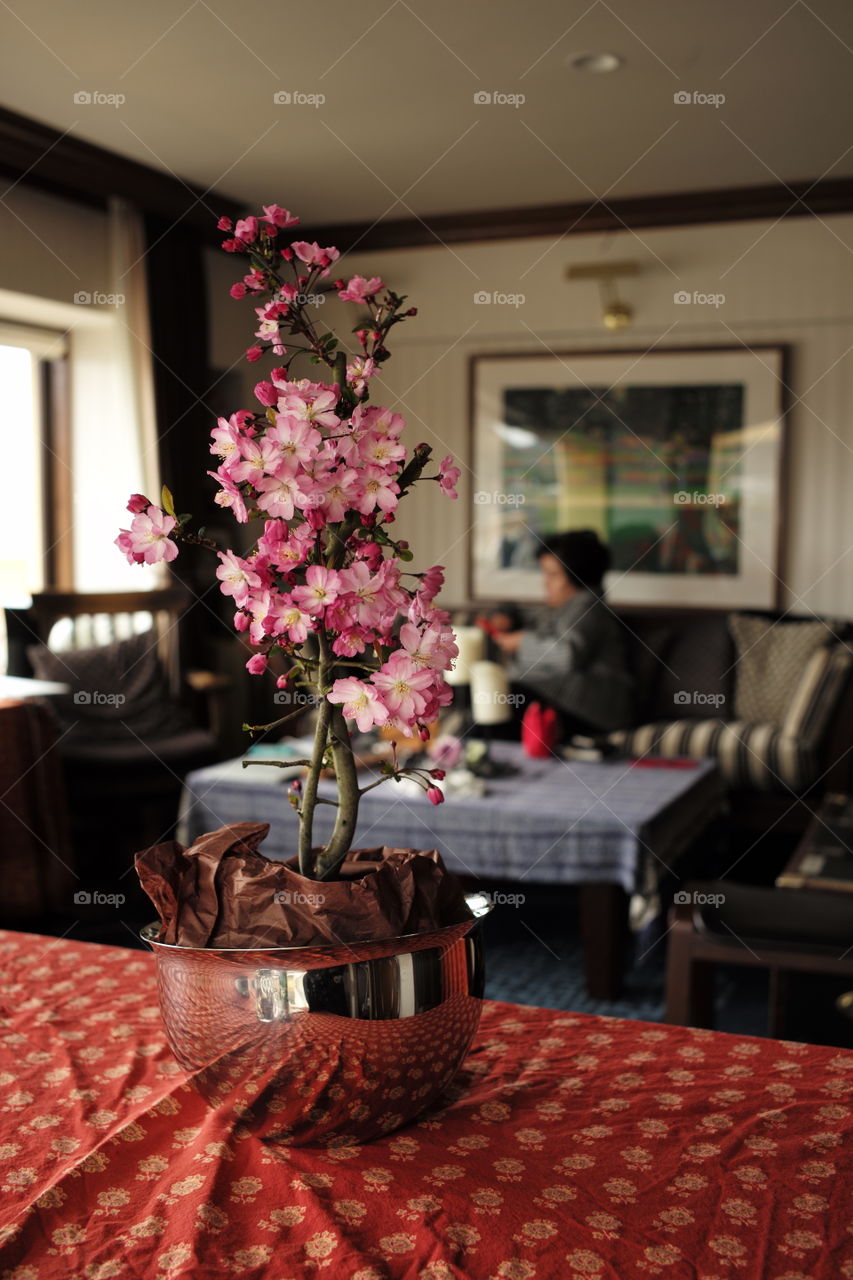 Sakura cherry blossom interior