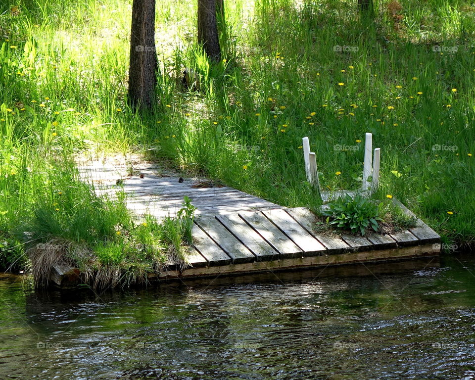 Scenic view of river