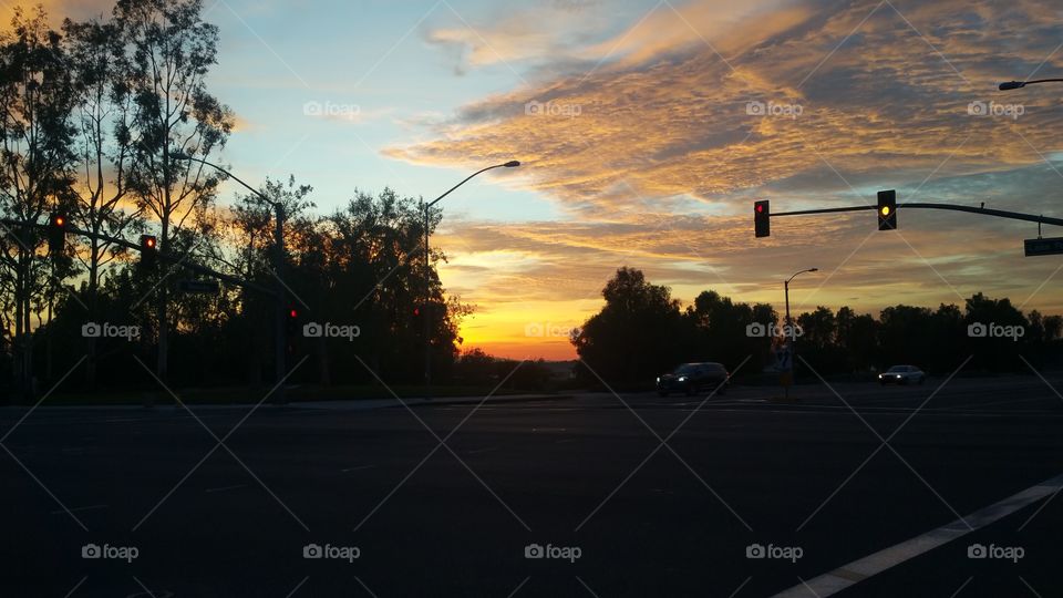 Sunset, Evening, Light, Tree, Landscape