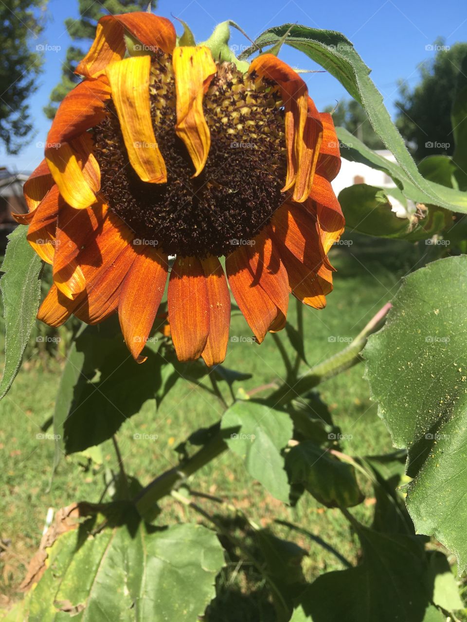 Staying positive and enjoying the day hope everyone is having a wonderful weekend!