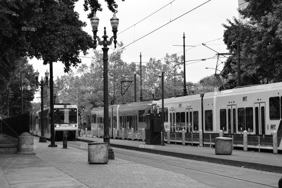 TriMet