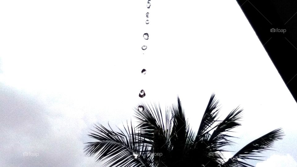 rain drops