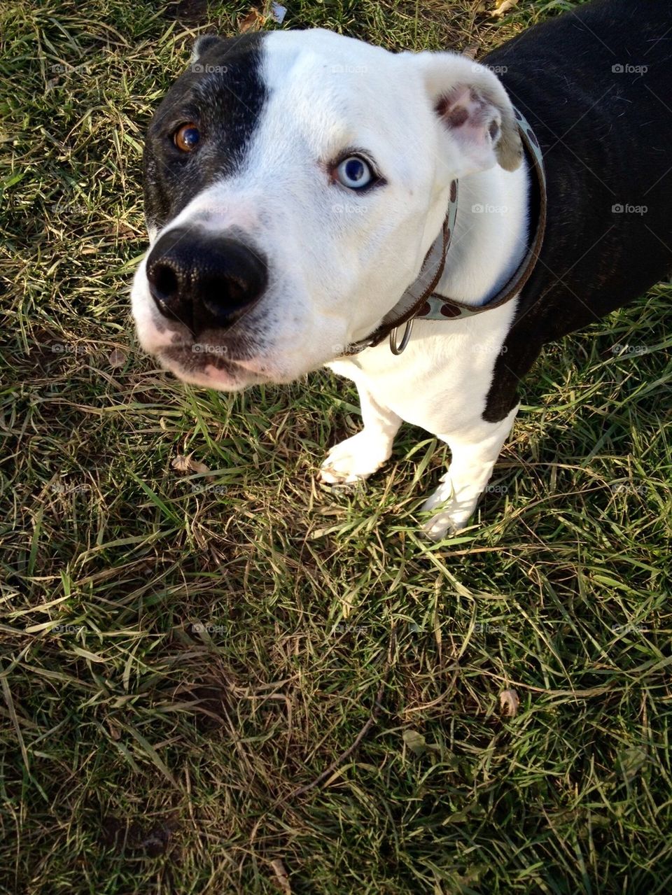 Is Our Walk Over Already?