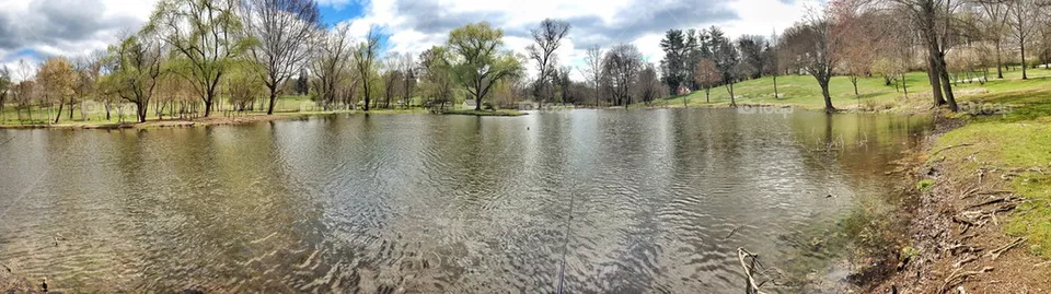 Pond