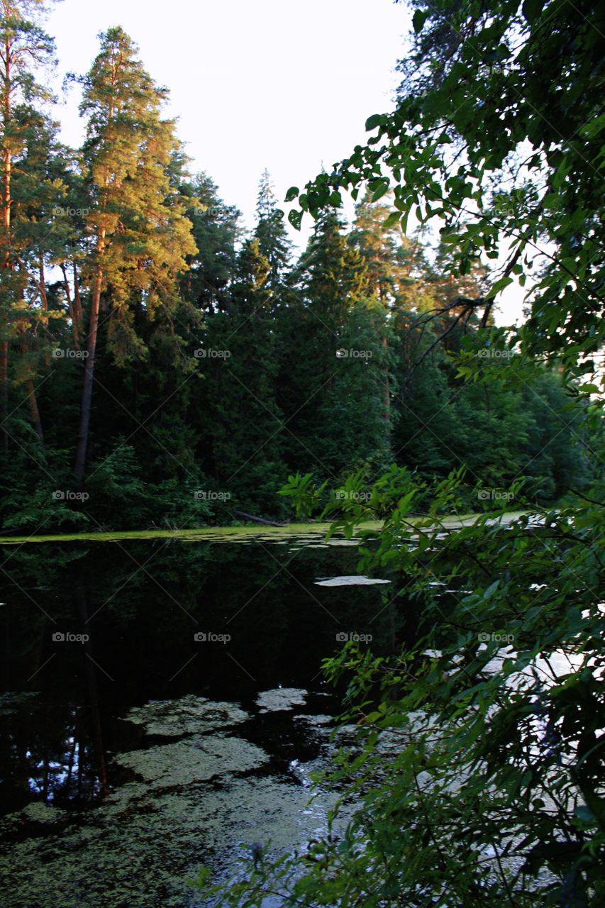 View from the shore