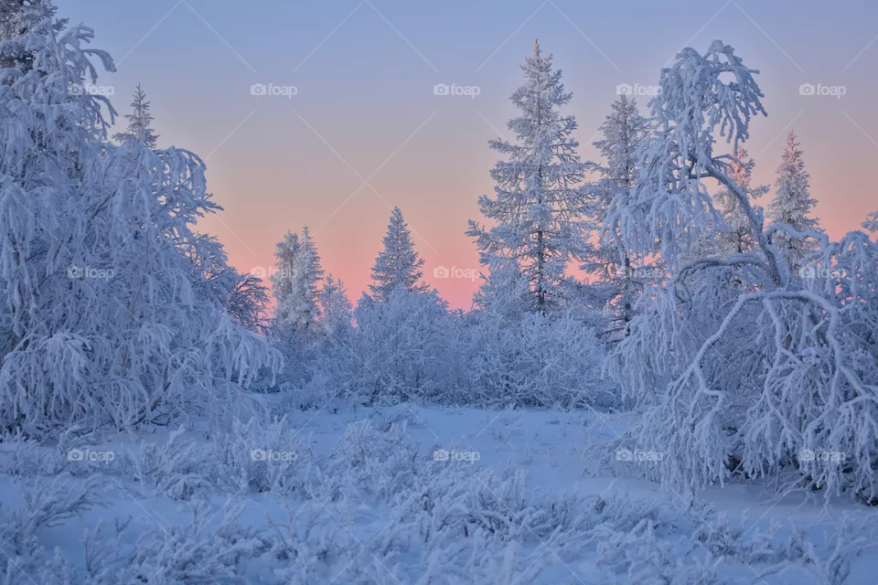 morning freezing