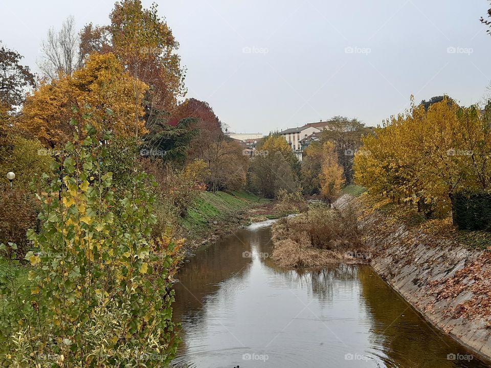 a creek in autumn