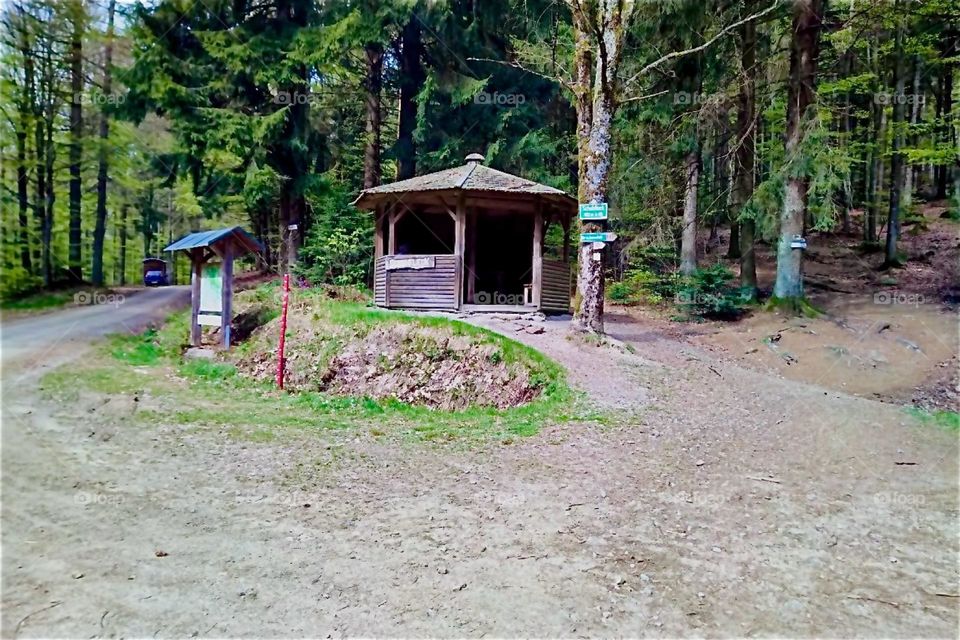 Happy hiking in the „Bayerischer Wald“, the „Bavarian Forest“ in Germany leads from forest to mountain to forest and so on. This place is known as the „Schuhfleck“, the „Shoe Place“ where nine popular hiking trails meet. 2024. Hypnotic Productions