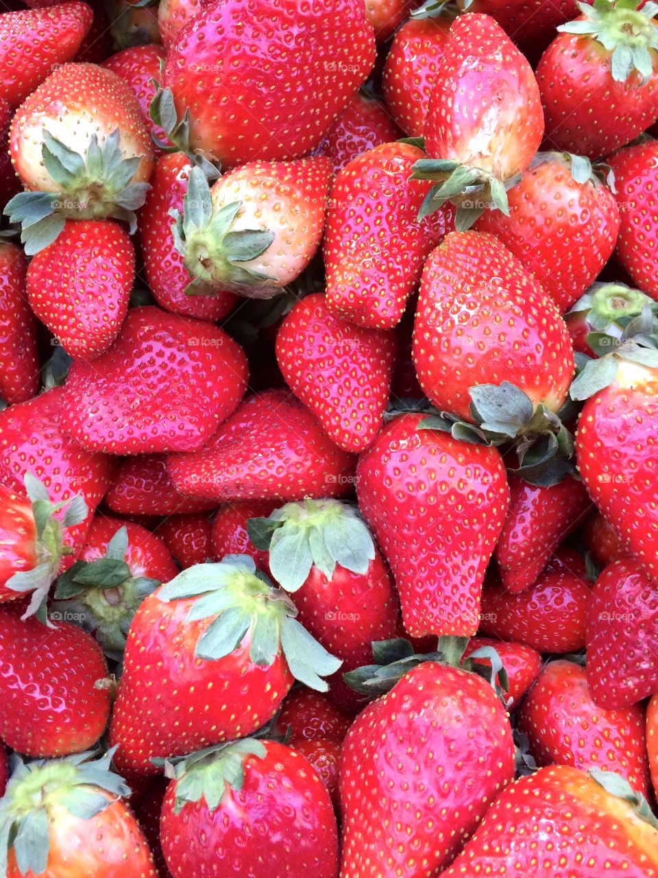 Israeli Strawberries!