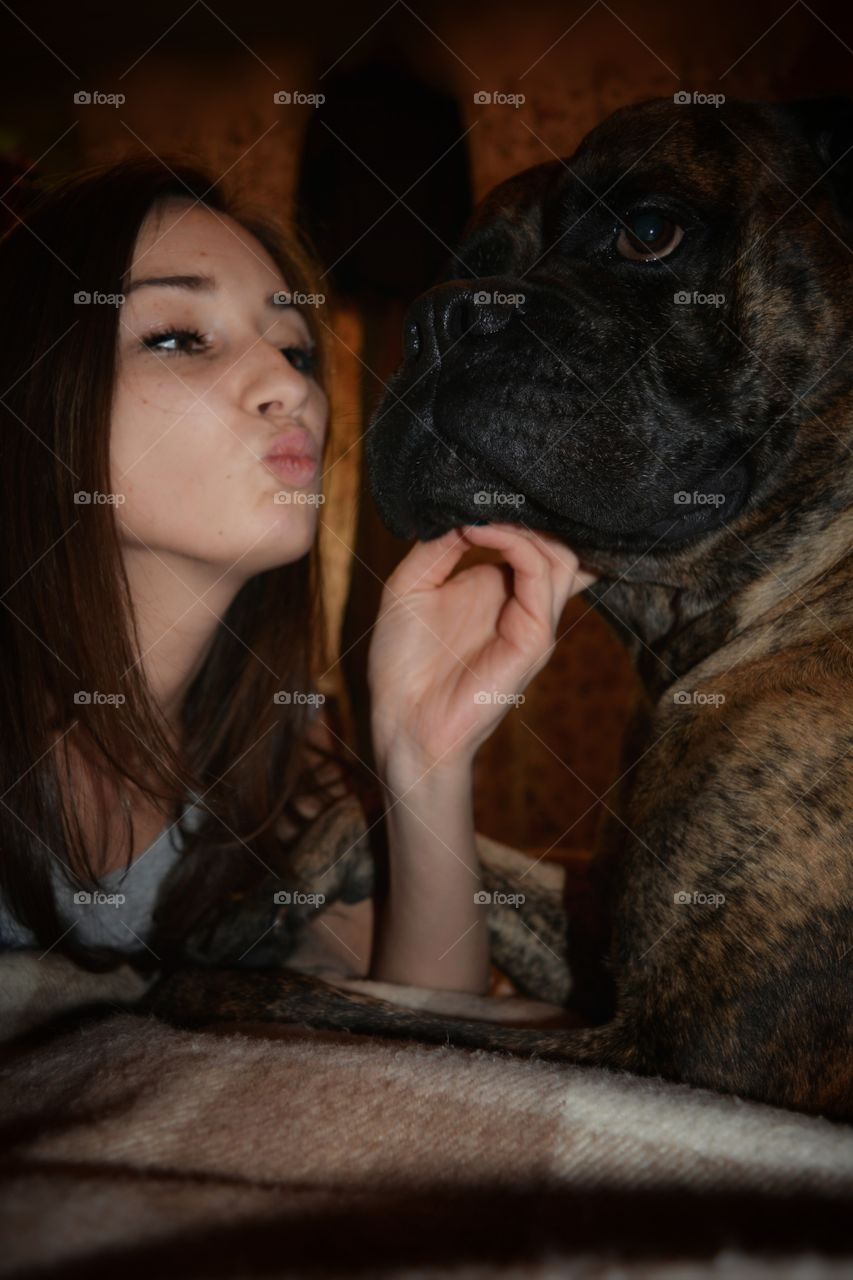 Dog, Portrait, Mammal, Pet, One