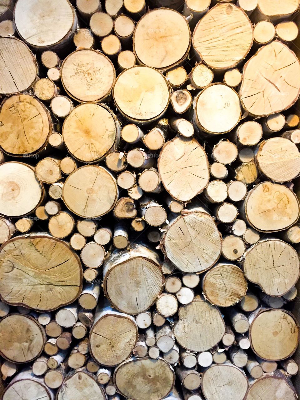 Wood logs