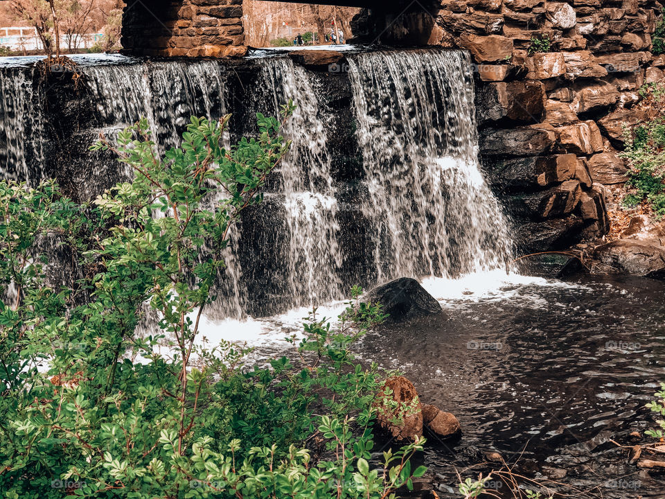Tibbets Park Waterfall