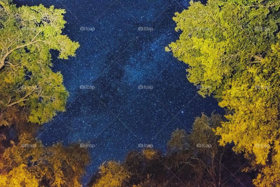 Milky Way in North Florida . My first attempt at photographing the Milky Way at Ichetucknee Spings Campgrounds in North Florida