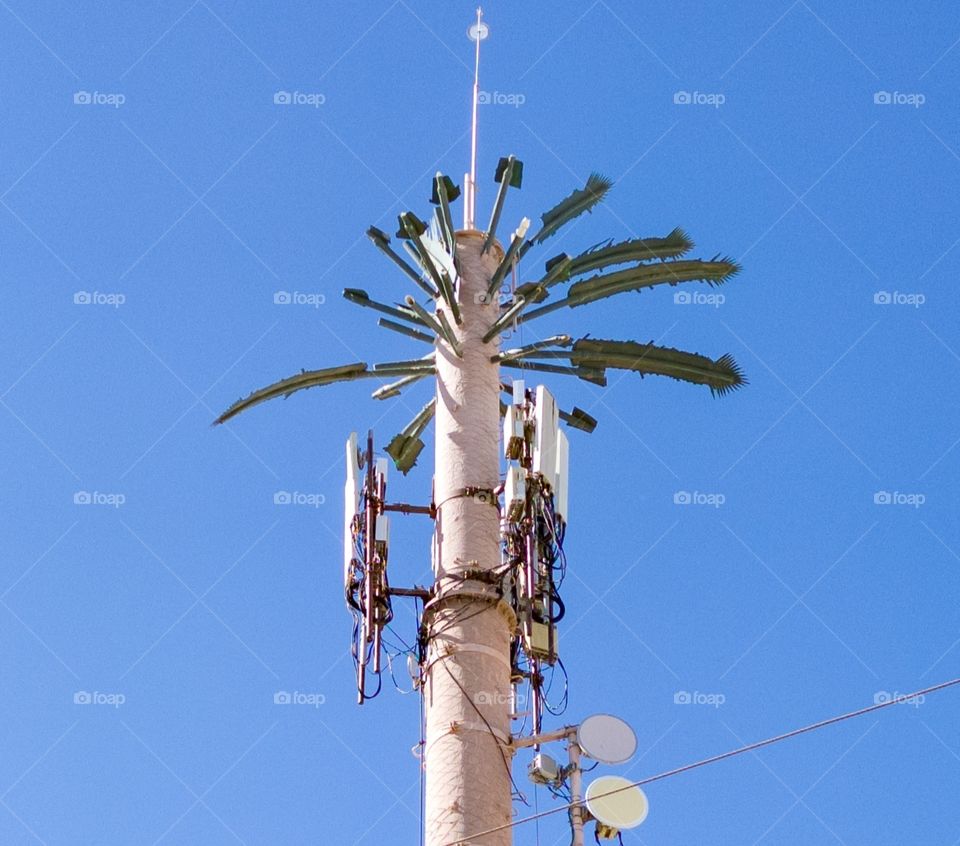 Palm-shaped mobile relay antenna in Las Paz, Mexico