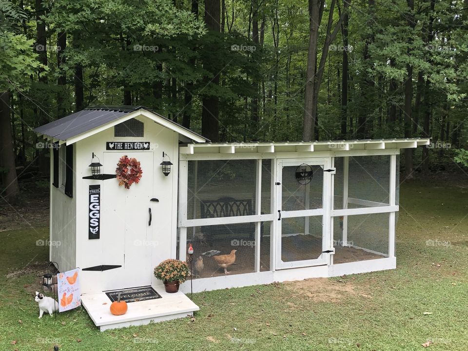 Coop and run is finished, finally. 