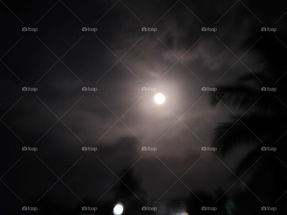 Moon in the night