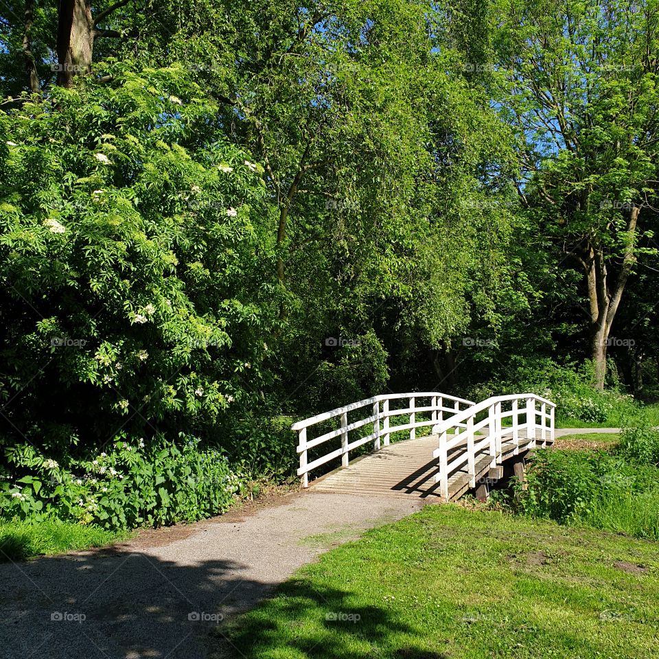 White bridge across the canal in the park